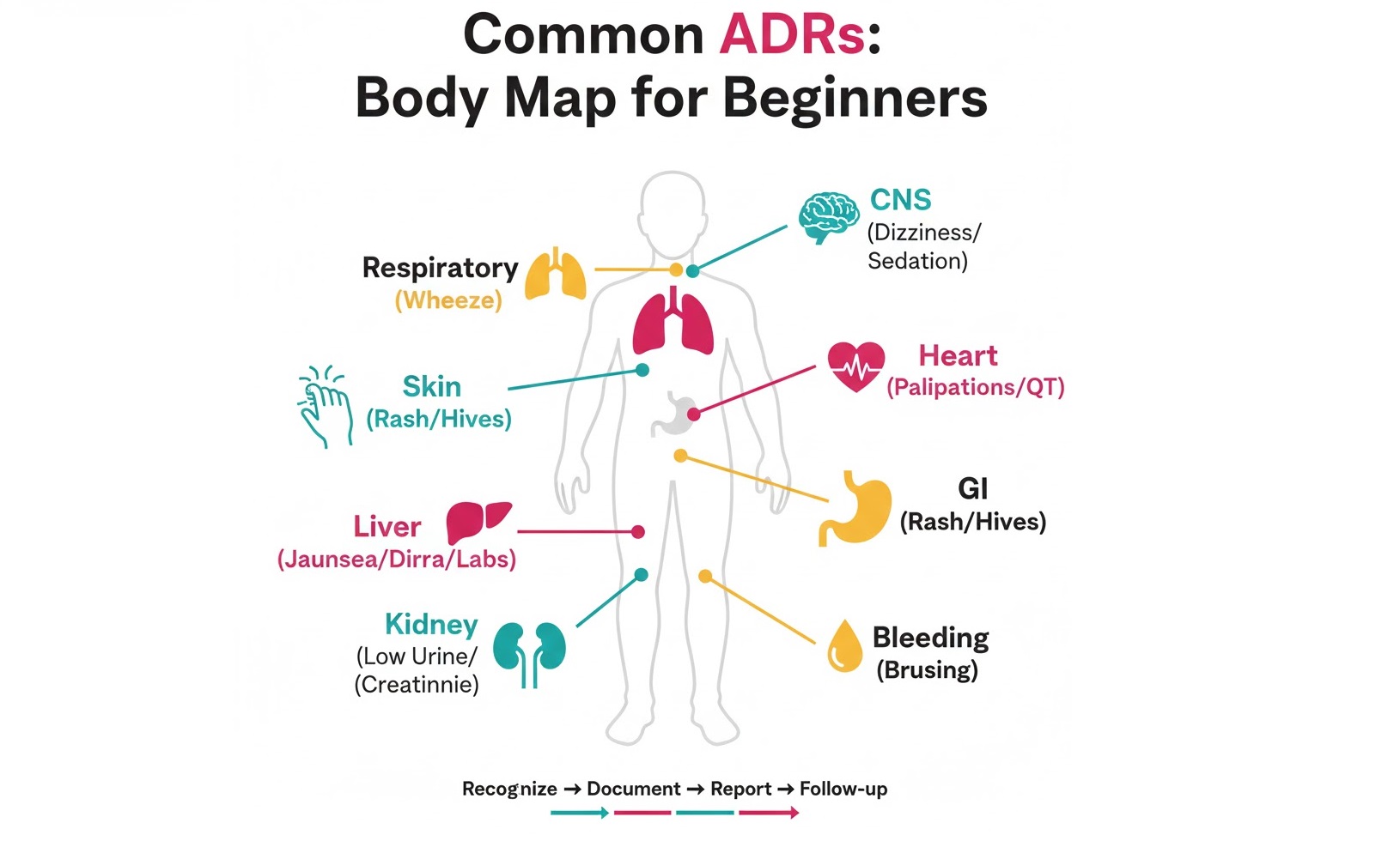 Spot common ADR patterns by body system. Therefore, you document and report faster.