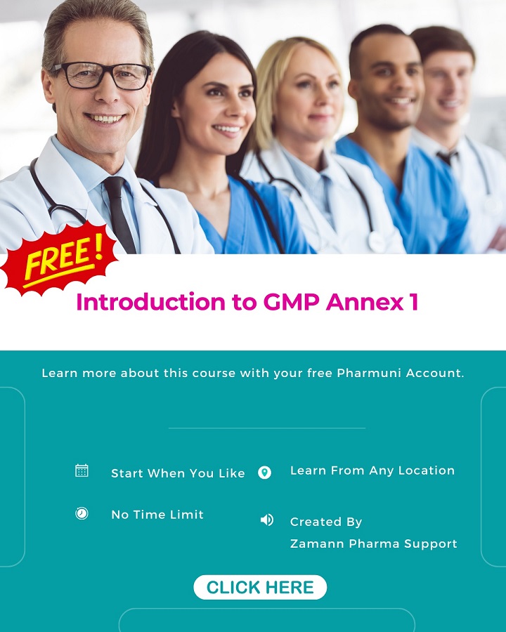 Business Professional Presenting Data Graphs To Coworker During Meeting