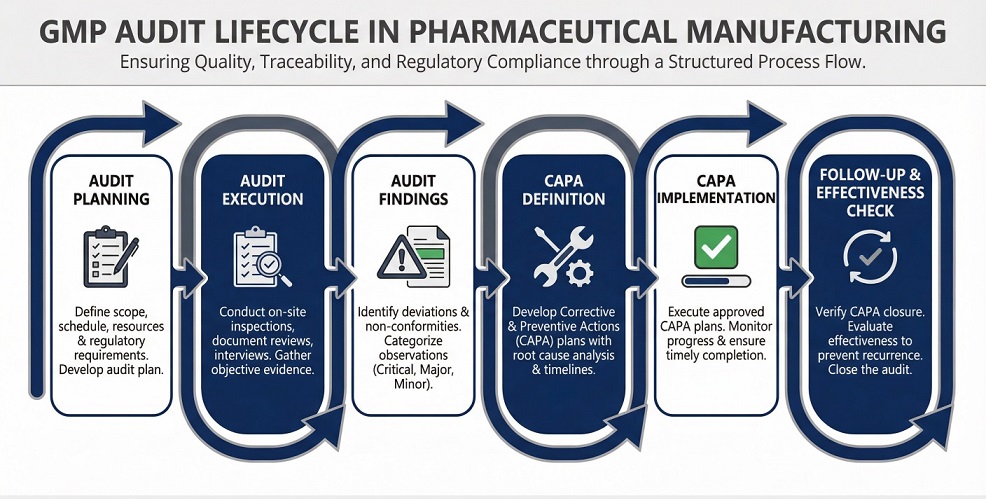 GMP Audit Lifecycle: Plan, Execute, Follow Up.