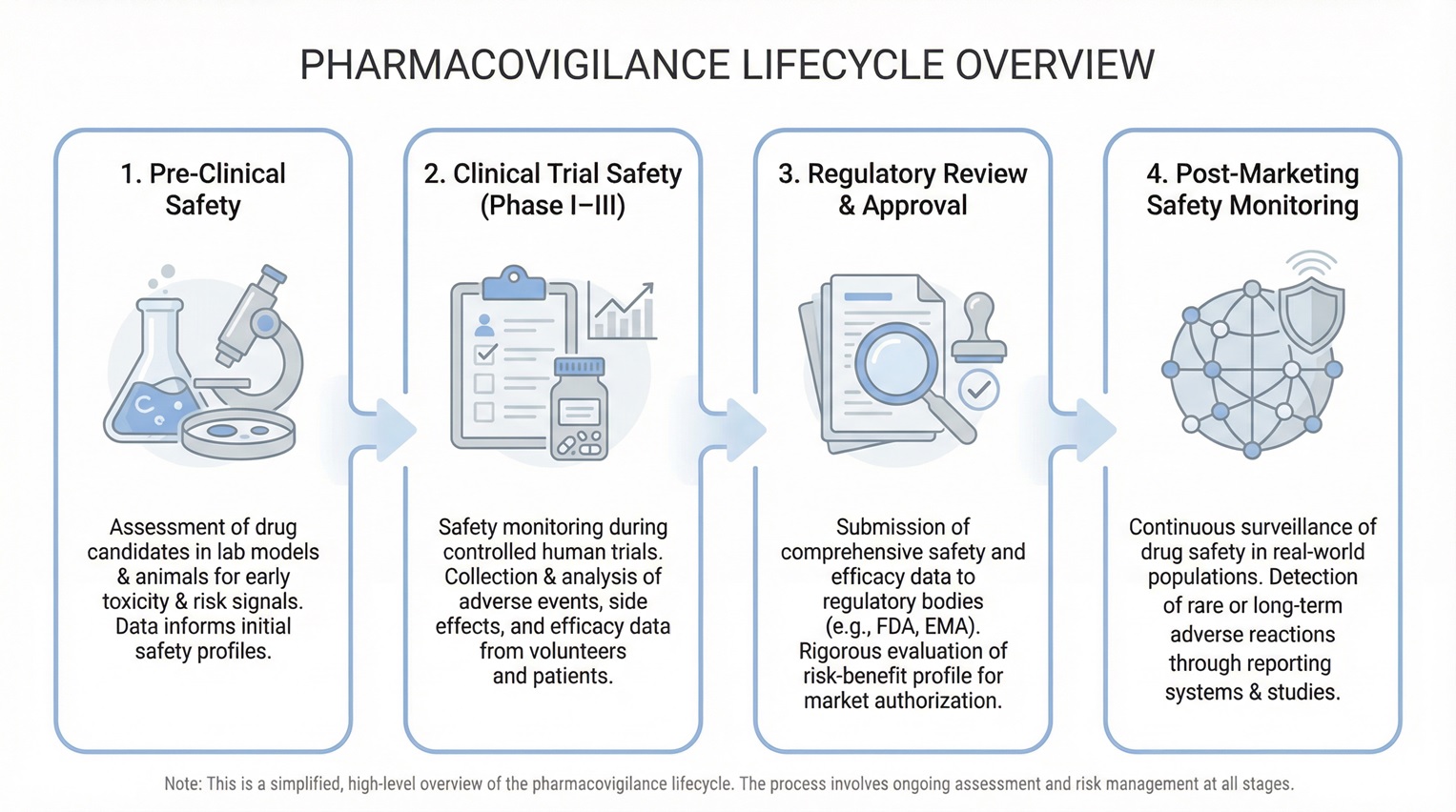 Pharmacovigilance phases: detect, assess, act, and prevent harm—continuously.