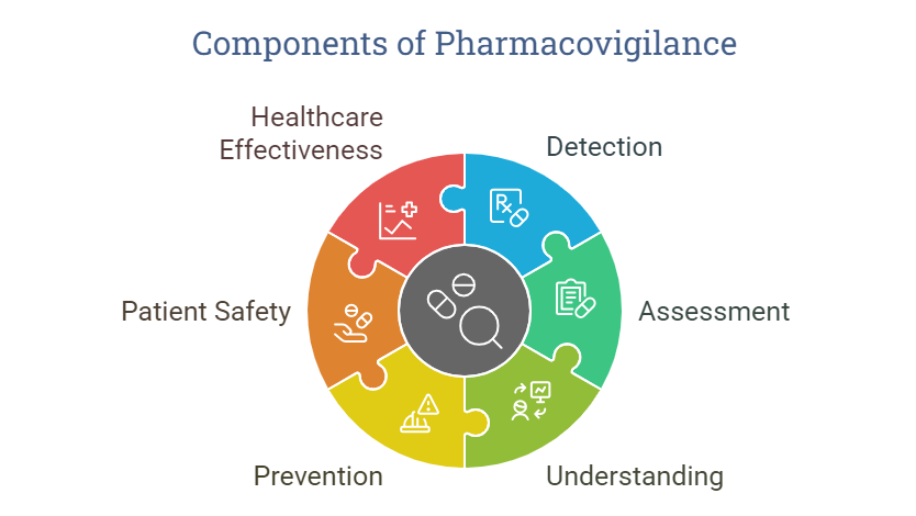 Experts rely on the pharmacovigilance definition to assess drug safety risks.