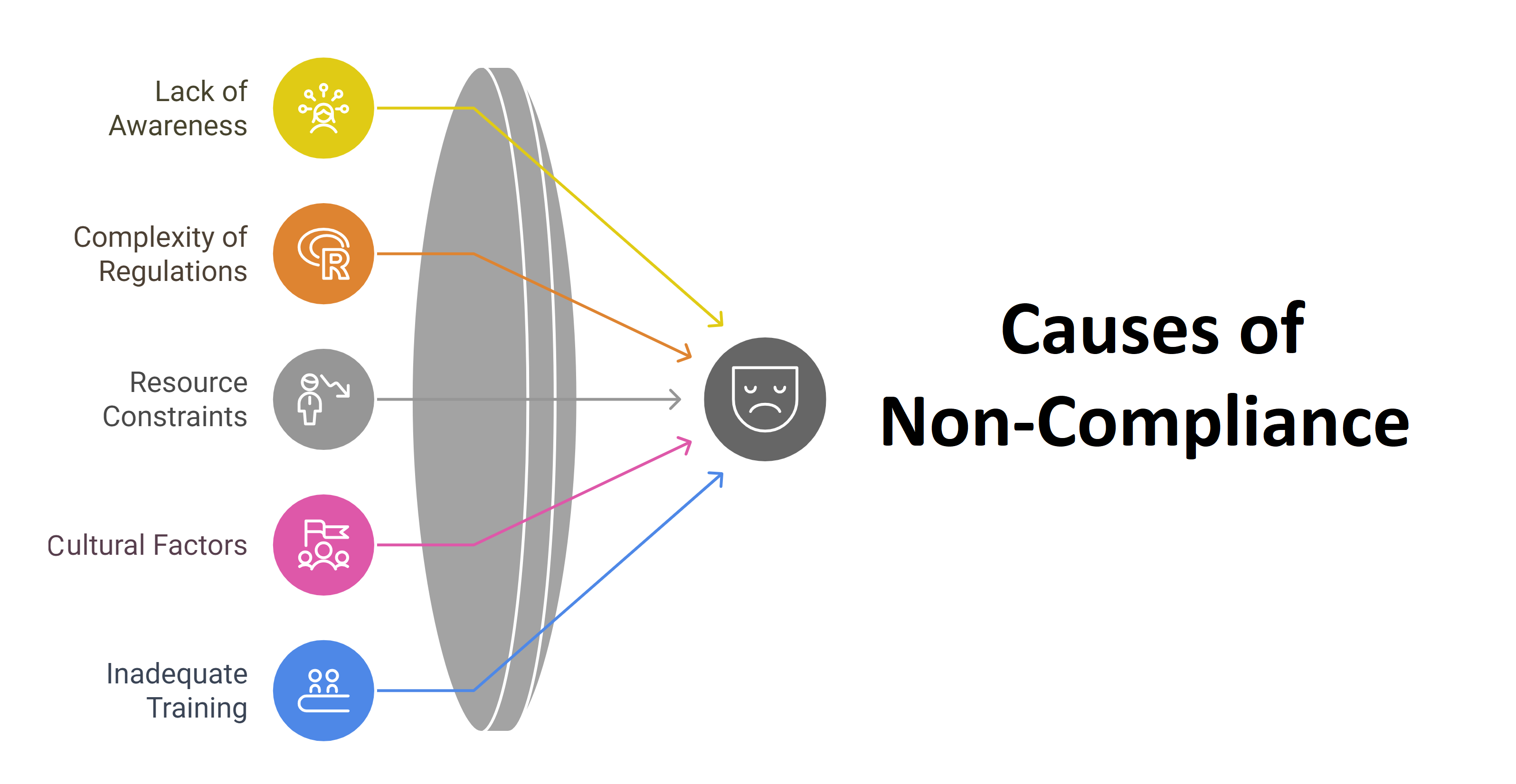 Main Causes of Non-Compliance that must be found in pharma audit