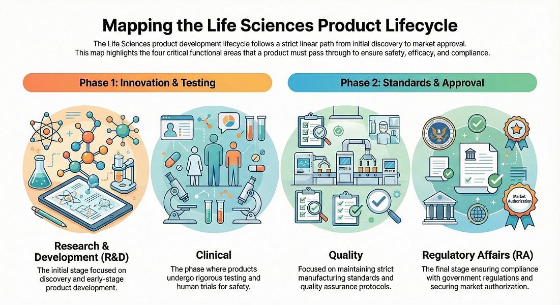 Biotech/Pharma Job Map: R&D → Clinical → Quality → RA