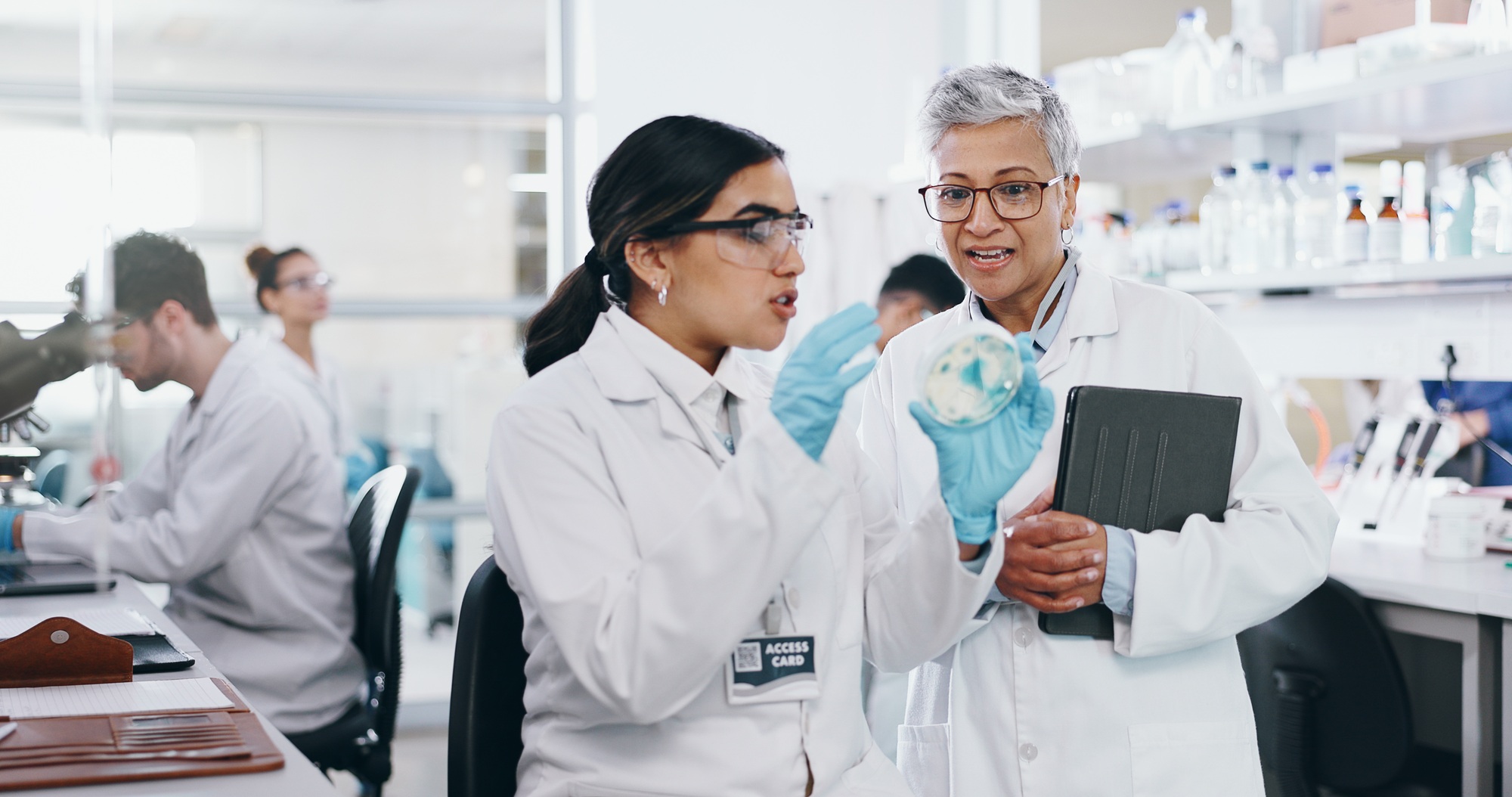 With GMP Training in Pharma, you rise above the rest.