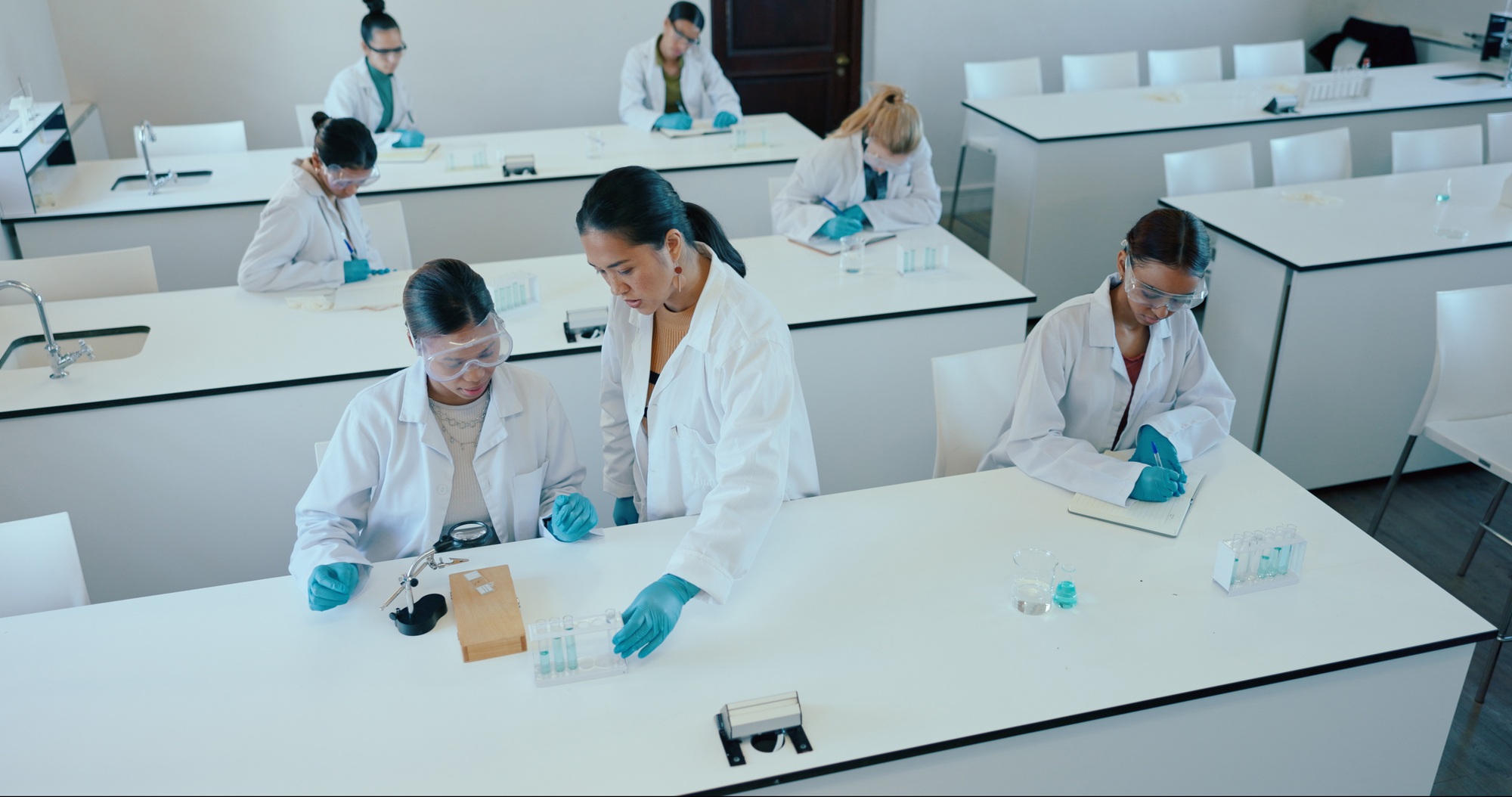 Precise workflows integrate Reference Standards to enhance testing safety.