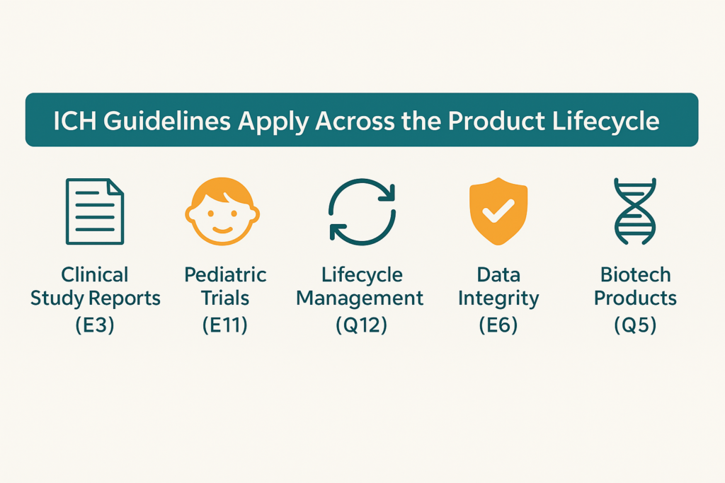 Every phase of product development relies on clear standards from ICH guidelines.