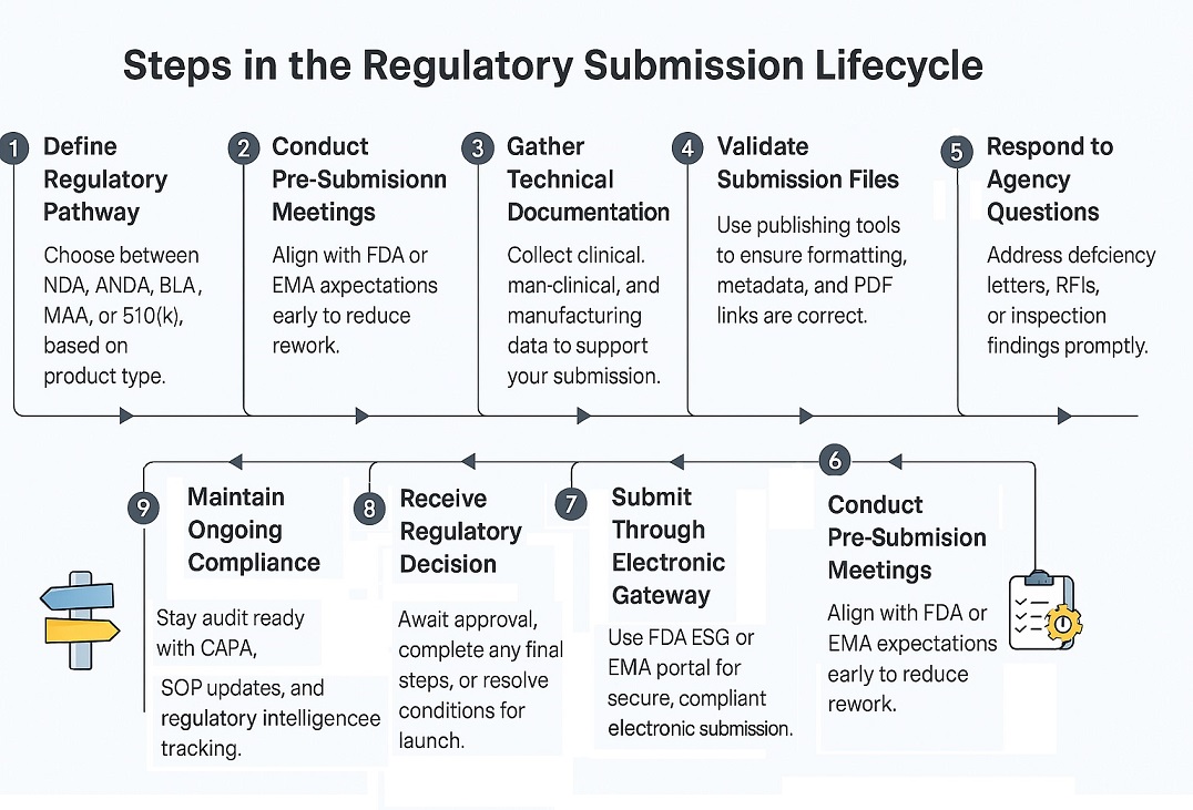 Steps in the Regulatory Submission Lifecycle