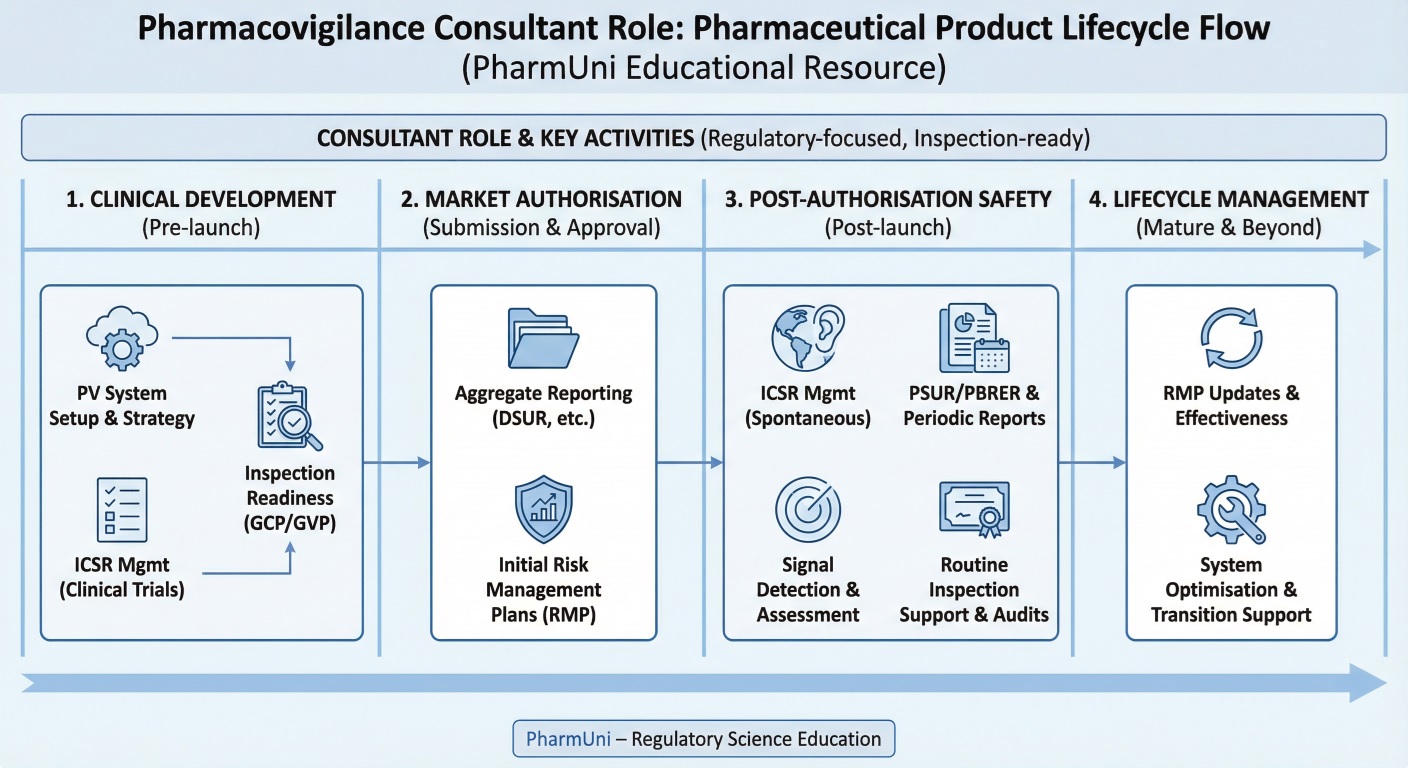 The visual below summarises how pharmacovigilance consulting services support drug safety across each stage of the product lifecycle.