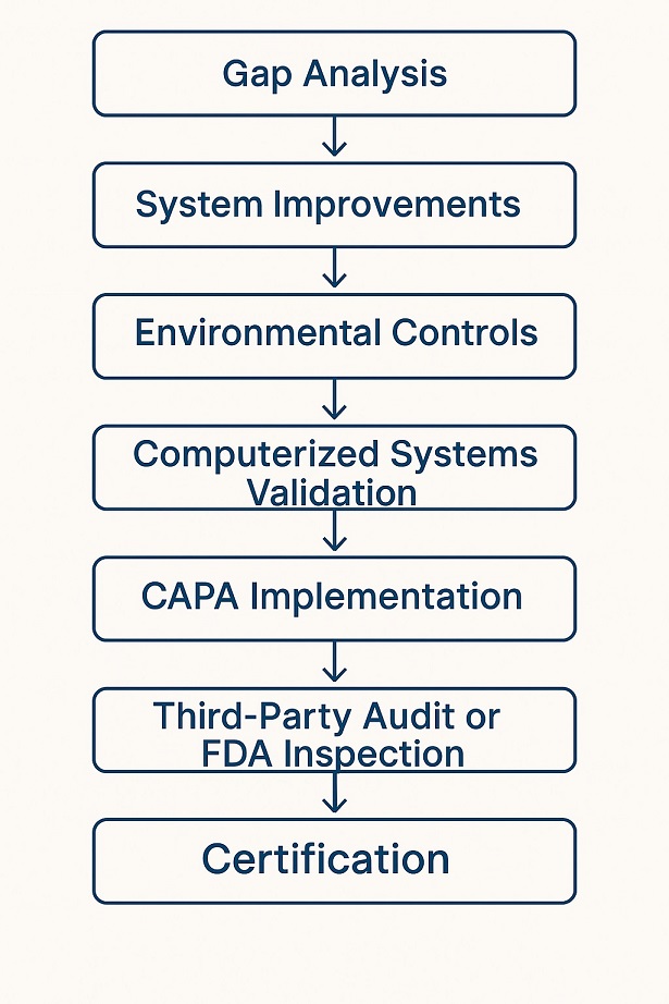 Steps visualized to achieve what is GMP certified success.