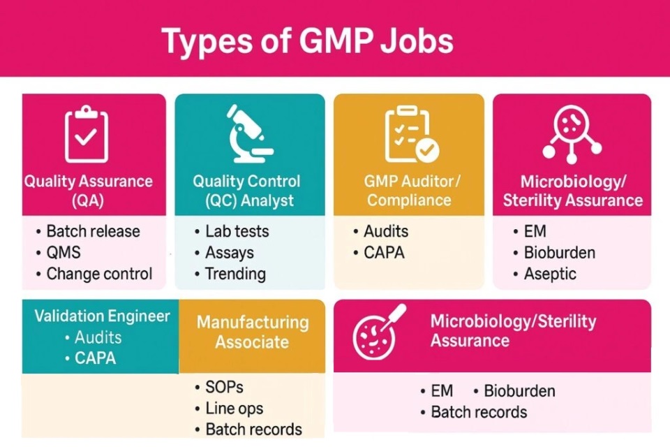 Your path to GMP jobs starts with these six in-demand roles.