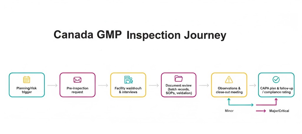 Know the inspection steps, reduce surprises, and close CAPAs faster.