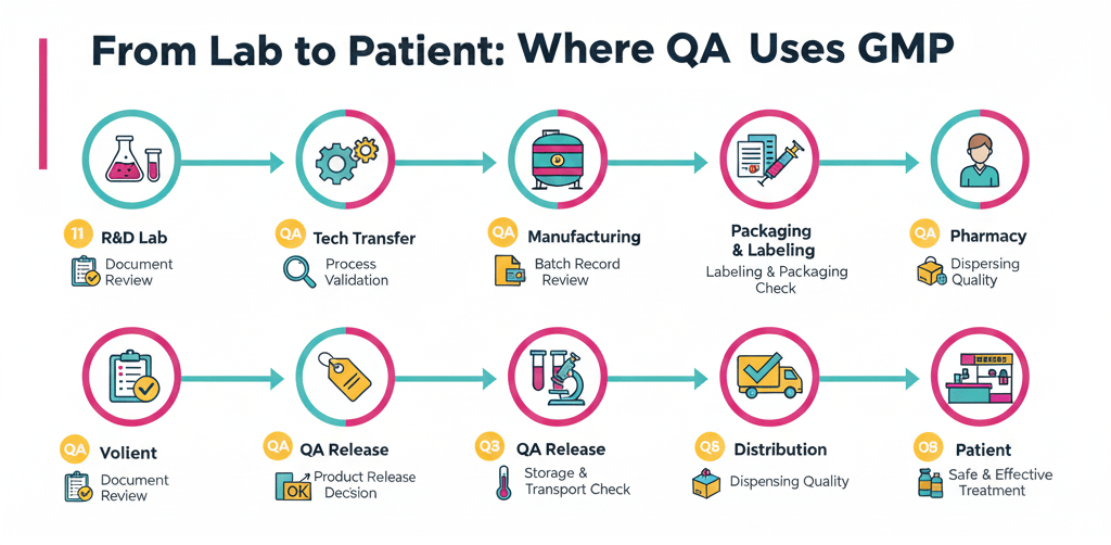 Follow the full journey from lab to patient and see where QA protects quality.