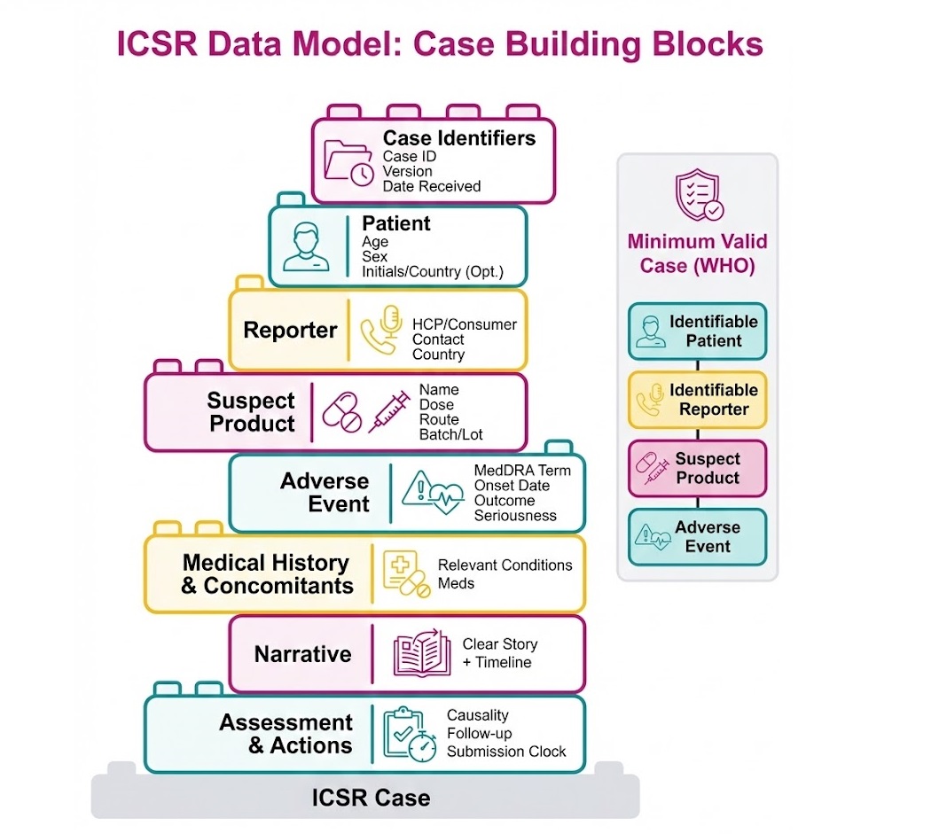 ICSR Data Model = case building blocks