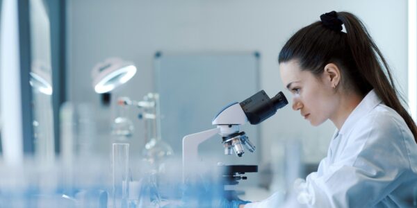 A descriptive alt for the image