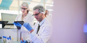 A descriptive alt for the image