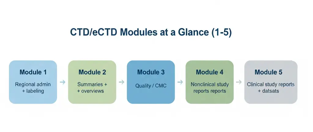 CTD modules made simple—save this guide.