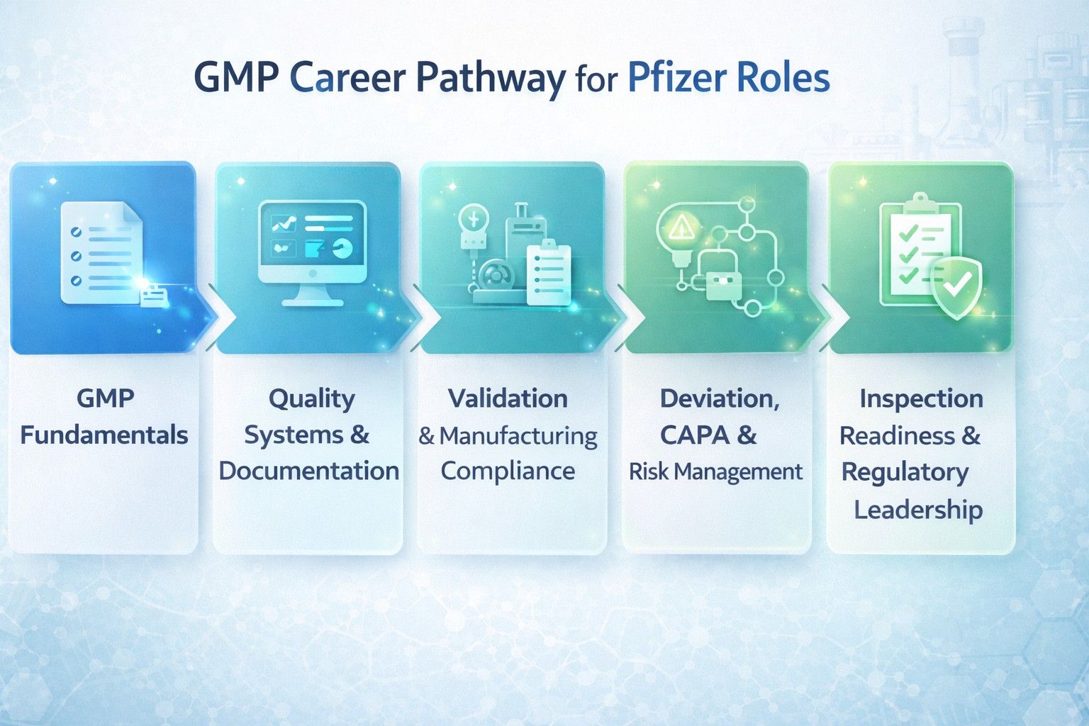 GMP career pathway for Pfizer pharmaceutical roles showing progression from GMP training to validation and quality systems experience