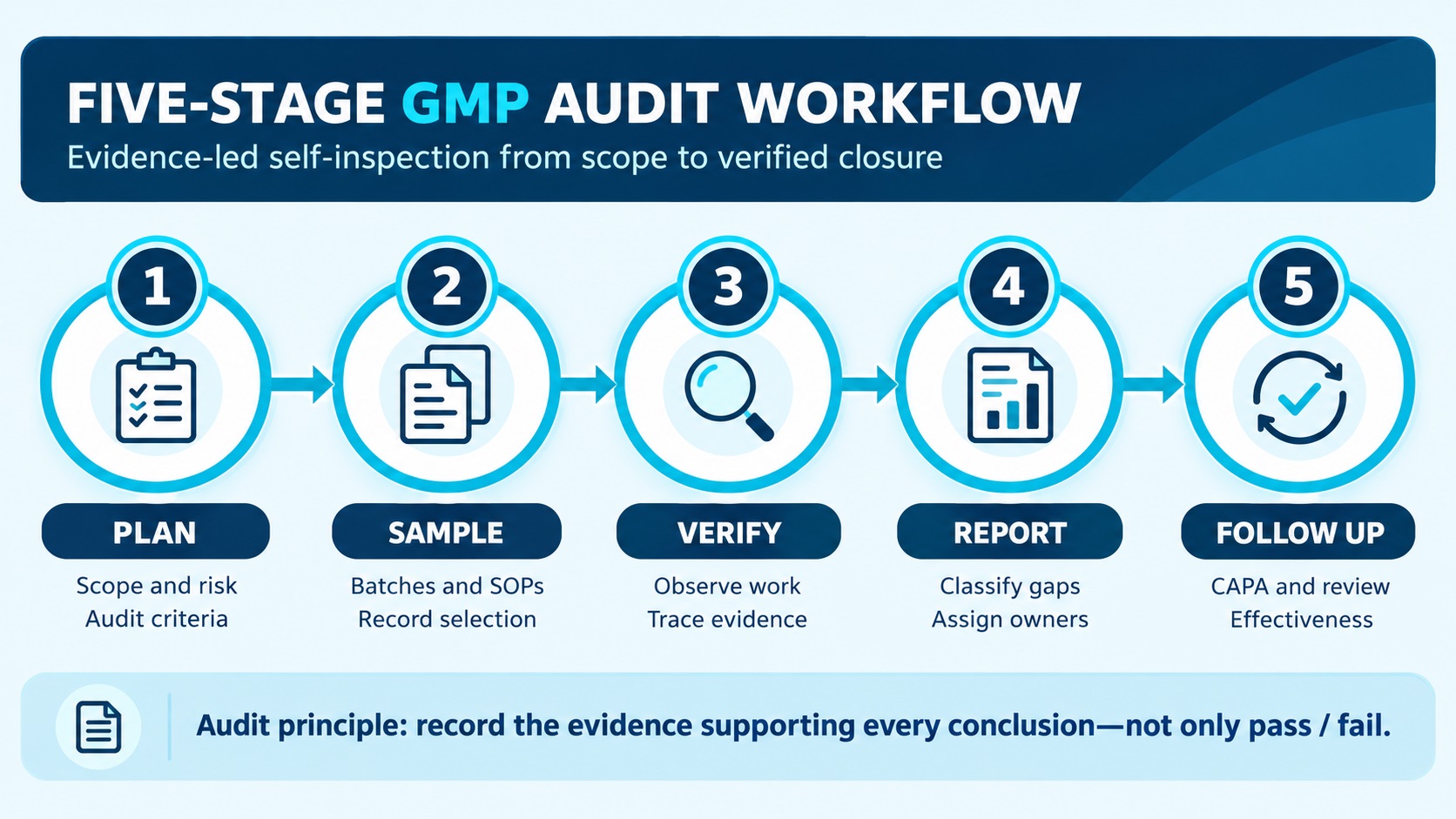 Five-stage pharmaceutical GMP audit workflow illustrating audit scope planning, risk-based record sampling, on-site compliance verification, audit findings and CAPA ownership, and effectiveness monitoring in accordance with EU GMP Chapter 9, ICH Q9(R1), and ICH Q10.